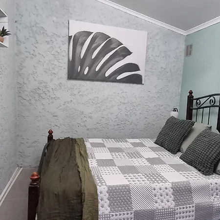 Double Bedroom With En-suite Bathroom * Albergaria-a-Velha