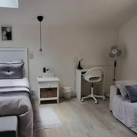 Double Bedroom With En-suite Bathroom Albergaria-a-Velha