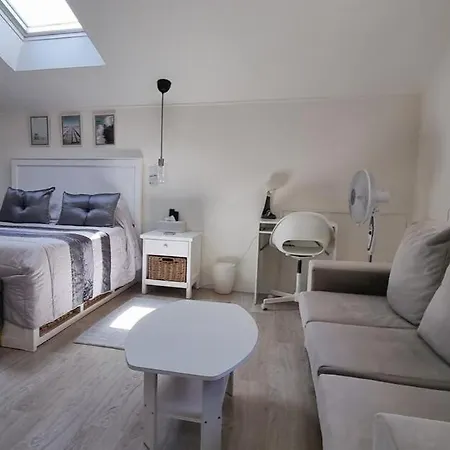 Double Bedroom With En-suite Bathroom * Albergaria-a-Velha