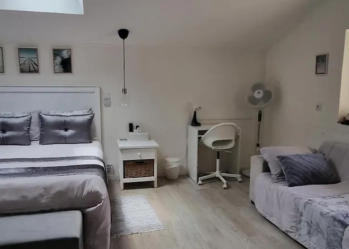 Double Bedroom With En-suite Bathroom Albergaria-a-Velha